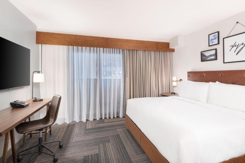 Suite, 1 King, Sofa bed interior